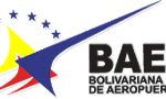 logo baer