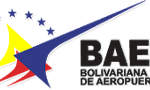 logo-baer