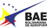 logo-baer